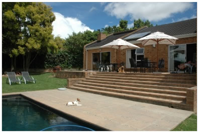 Pool and Patio Area