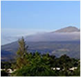 View from Patio