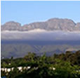 View from Patio